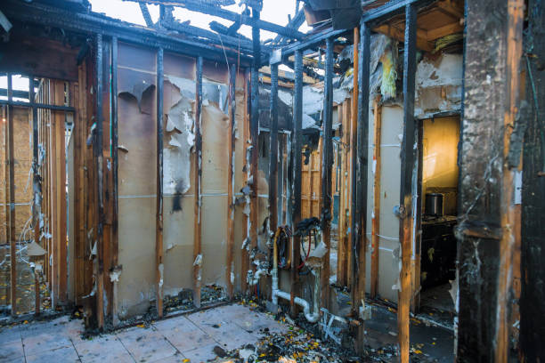Professional Fire Damage Removal technician working in Sun City Center, FL