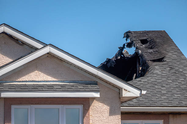 Top rated local Fire Damage Removal specialists in Sun City Center, FL